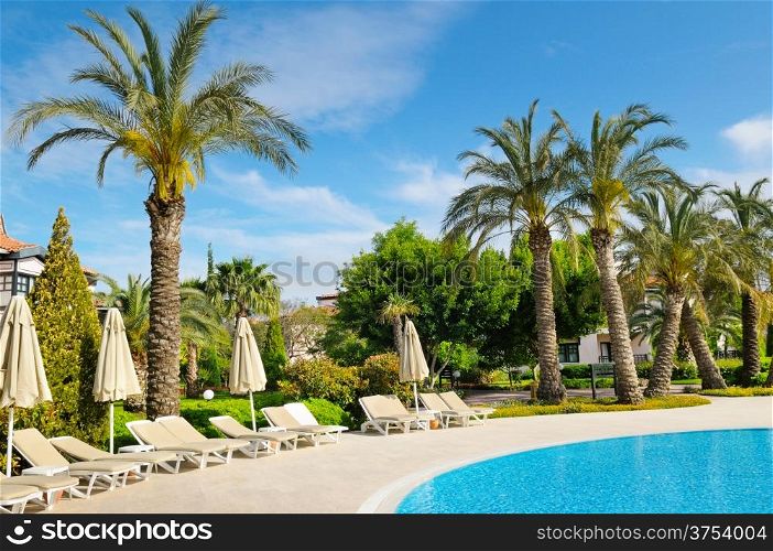 outdoor swimming pool and beautiful palm trees