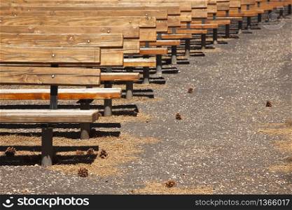Outdoor Wooden Amphitheater Seating and Pine Cones and Pine Needles Abstract.