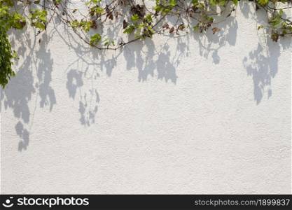 outdoors wall with various leaves. Resolution and high quality beautiful photo. outdoors wall with various leaves. High quality beautiful photo concept