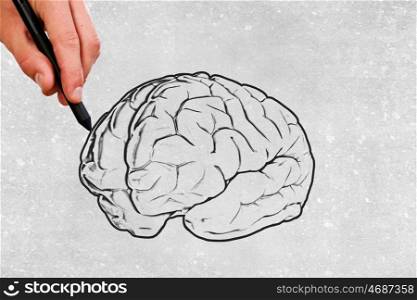 Outstanding mind. Close up of male hand drawing human brain