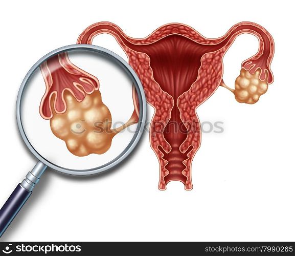 Ovaries concept and uterus with fallopian tubes as a magnification close up of a human female reproduction illustration on a white background as a symbol of fertility and reproductive system health.