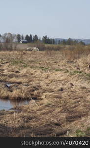 Over look field towards bridge and barn