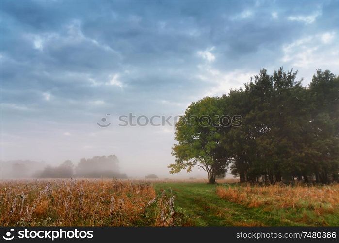 Overcast misty sky. Cloudy autumn foggy morning. Autumn scene on a meadow with oak trees.