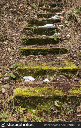 Overgrown with green moss abandoned stone steps in woods in winter