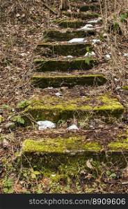 Overgrown with green moss abandoned stone steps in woods in winter