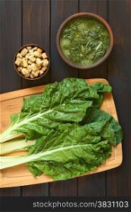 Overhead shot of chard leaves (lat. Beta vulgaris) on wooden board with a rustic bowl of chard soup and a small bowl of croutons, photographed on dark wood with natural light