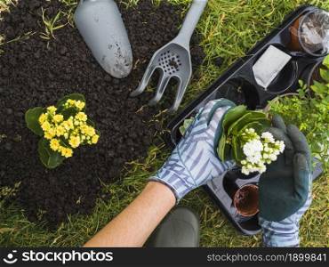 overhead view hand holding small fresh potted plant. Resolution and high quality beautiful photo. overhead view hand holding small fresh potted plant. High quality beautiful photo concept