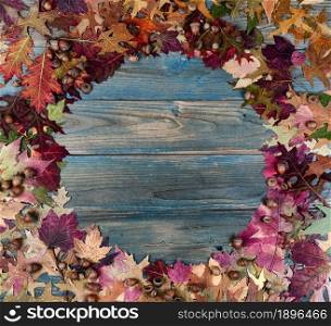 Overhead view of a complete circle real acorns and colorful foliage leaves on blue aged wooden planks for the Autumn holiday season of Halloween or Thanksgiving background