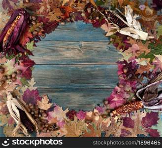 Overhead view of a complete circle real corn, acorns and colorful foliage leaves on blue aged wooden planks for the Autumn holiday season of Halloween or Thanksgiving background