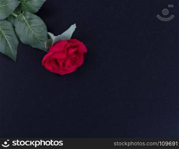 Overhead view of a single red rose on dark stone background