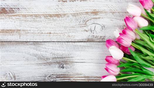 overhead view of a spring pink tulips on white weathered wooden boards