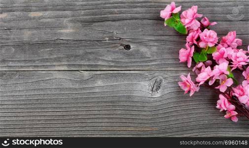 Overhead view of artificial cherry blossom branches on vintage wood . Cherry Blossom branches on vintage wood in overhead view