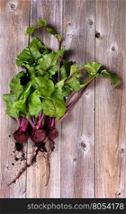 Overhead view of freshly harvested beets from garden with soil still on them. Vertical format with rustic wooden boards.