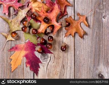 Overhead view of seasonal autumn leaves and acorns on rustic wooden boards.
