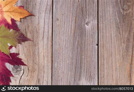 Overhead view of seasonal autumn leaves, left side of frame, on rustic wooden boards.