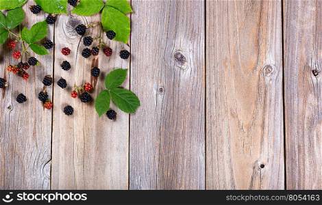 Overhead view of wild blackberries and leaves in upper left hand corner of frame on rustic wood.