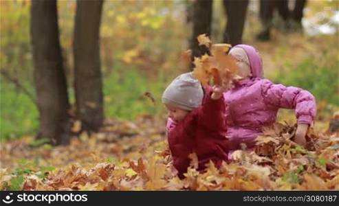 Overjoyed smiling siblings throwing yellow fallen maple leaves while playing together in pile of foliage in autumn park. Carefree cute teenage girl in eyeglasses and her toddler brother having fun outdoors in fall time. Slow motion.