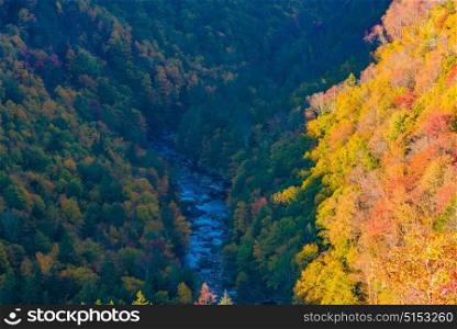 Overlook in Blackwater Falls State Park, West Virginia