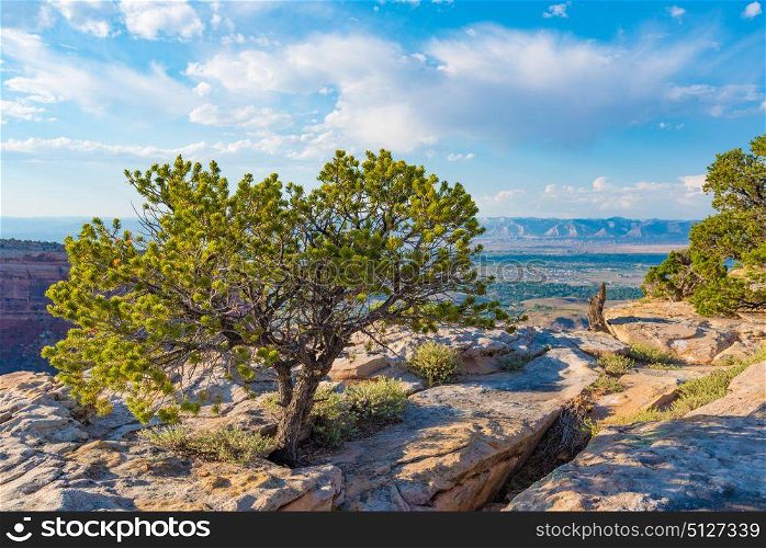 Overlook of Colorado National Monument near Grand Junction, Colorado