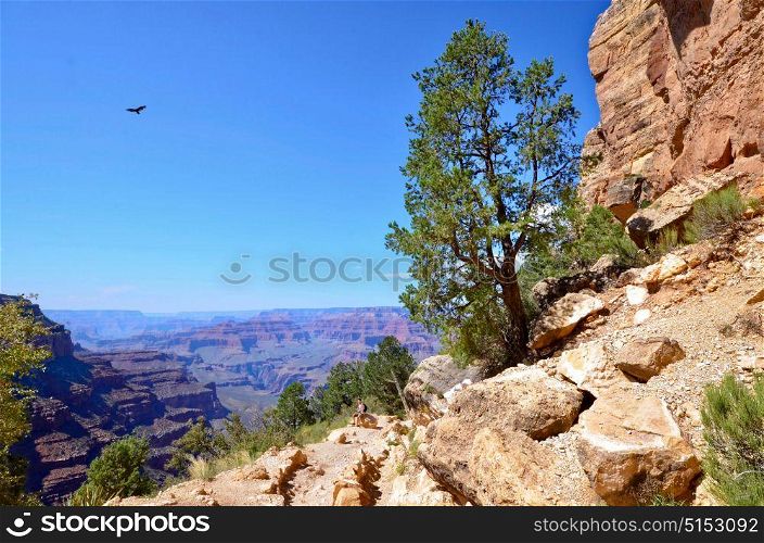 Overlook of the South Rim of Grand Canyon National Park, Arizona