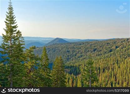 Overlooking a conifer forest in Lassen Volcanic National Park, California