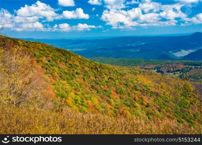 Overlooking the Monongahela National Forest from Spruce Knob