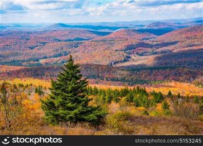Overlooking the Monongahela National Forest from Spruce Knob
