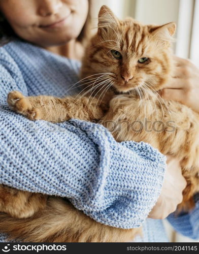 owner petting adorable cat