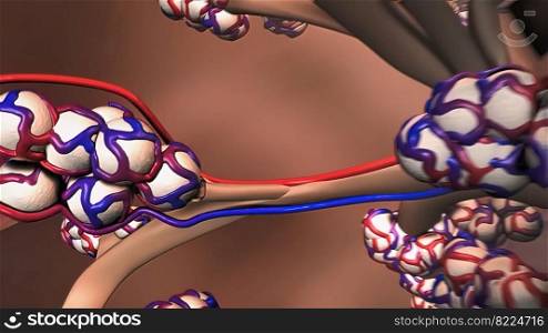 Oxygen and carbon dioxide in the blood 3d illustration. Oxygen and carbon dioxide in the blood