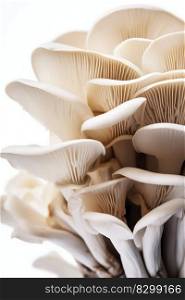 Oyster Mushrooms Isolated on White Background. Generative AI. High quality illustration. Oyster Mushrooms Isolated on White Background. Generative AI