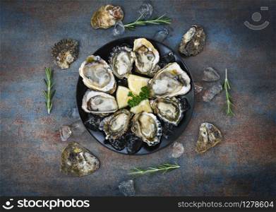 Oyster shell with herb spices lemon rosemary served table and ice healthy sea food raw oyster dinner in the restaurant gourmet food / Fresh oysters seafood on plate black background , top view