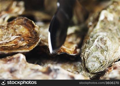 Oysters and knife