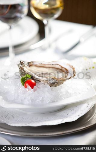 Oysters on ice, close-up photo, small dof