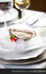 Oysters on ice, close-up photo, small dof