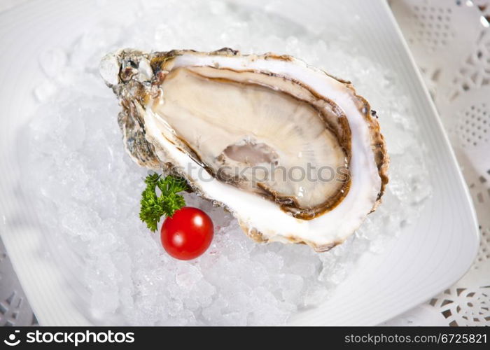 Oysters on ice, close-up photo, small dof