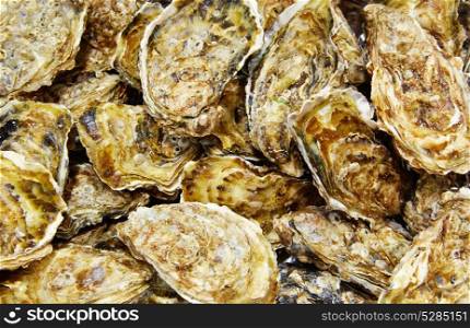 Oysters seafood texture pattern background