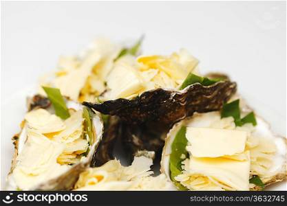 Oysters with cheese and basil