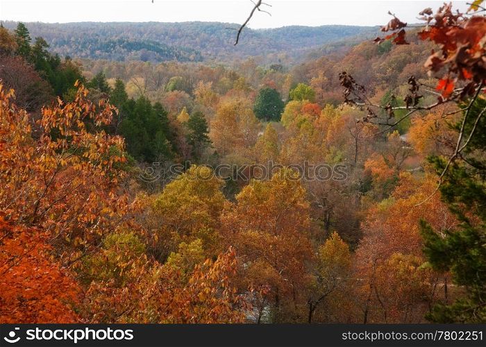 ozarks forest in missouri during autumn or fall