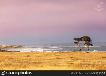 Pacific Coast in California, USA