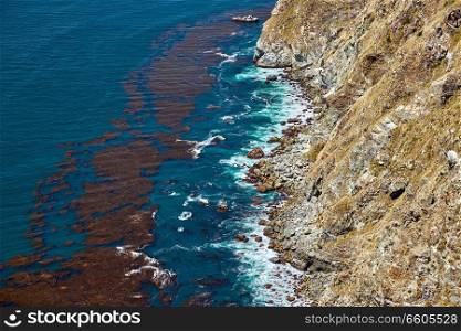 Pacific coast landscape in California, USA