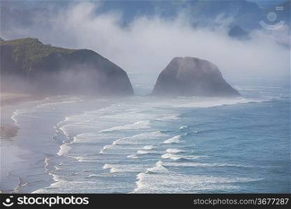 Pacific ocean coast