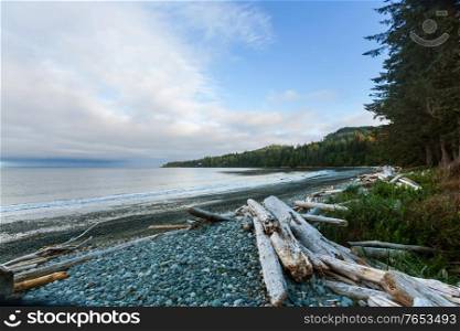 Pacific ocean coast in British Columbia, Canada. Wanderlust travel concept.