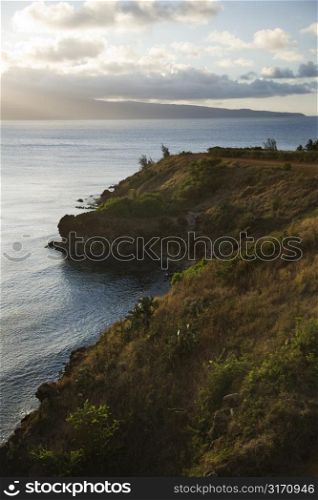 Pacific ocean with coastal cliff.