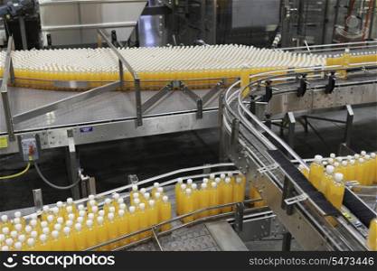 Packed bottles moving on conveyor belt