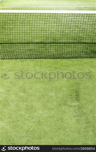 paddle tennis green grass field texture white lines