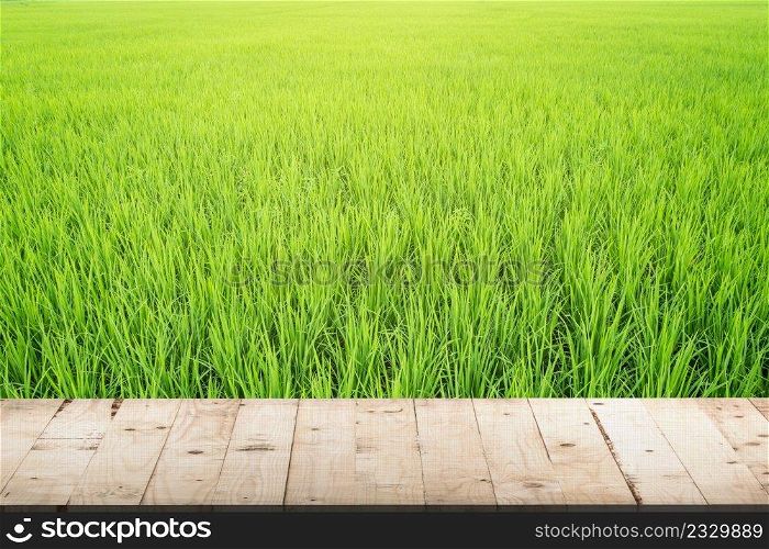 paddy rice and wood table in rice field with copy space