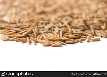 paddy seed on white background