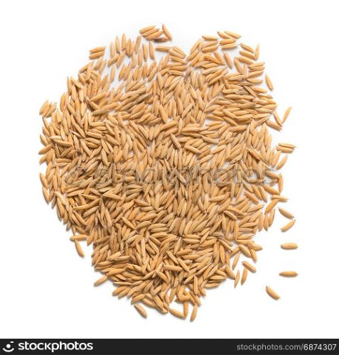 paddy seed on white background