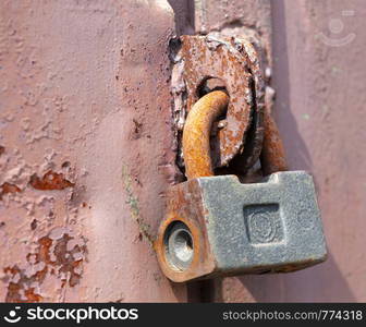 Padlock on the door. Rusty gate