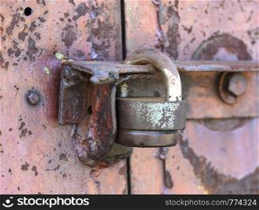 Padlock on the door. Rusty gate